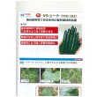 画像3: 送料無料　[キュウリ]　Ｖシュート　350粒　タキイ種苗(株) (3)