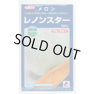 画像: 送料無料　[メロン]レノンスター　100粒　タキイ種苗