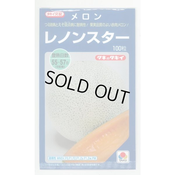 画像1: 送料無料　[メロン]レノンスター　100粒　タキイ種苗 (1)