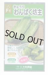 画像: 送料無料　[キュウリ]　わんぱく坊主　10粒　（株）大和農園