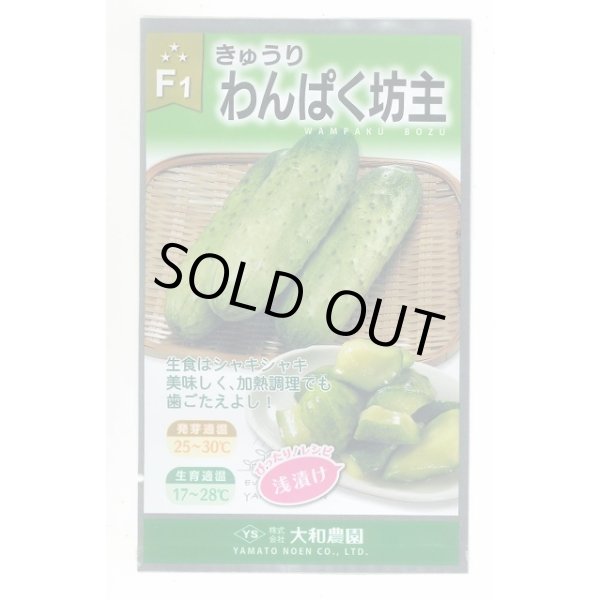 画像1: 送料無料　[キュウリ]　わんぱく坊主　10粒　（株）大和農園 (1)
