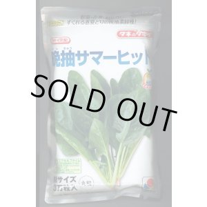 画像: [ほうれんそう]　晩抽サマーヒット　(種子サイズM)3万粒　タキイ種苗
