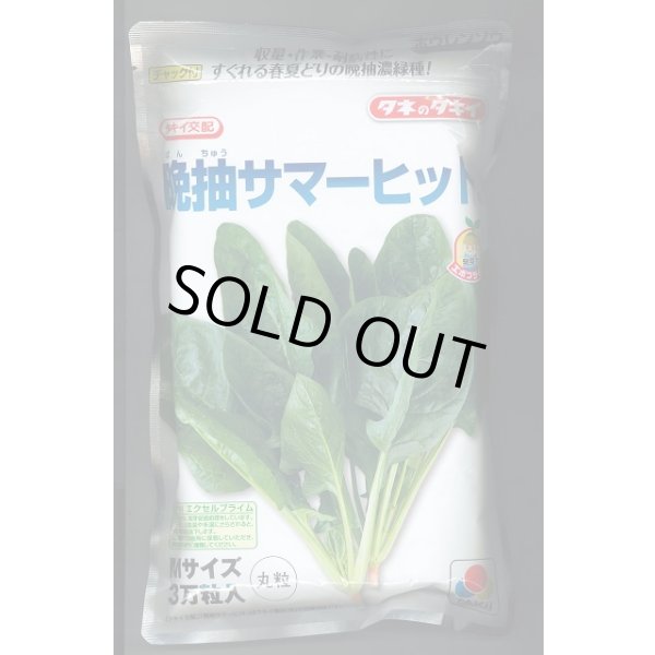 画像1: [ほうれんそう]　晩抽サマーヒット　(種子サイズM)3万粒　タキイ種苗 (1)