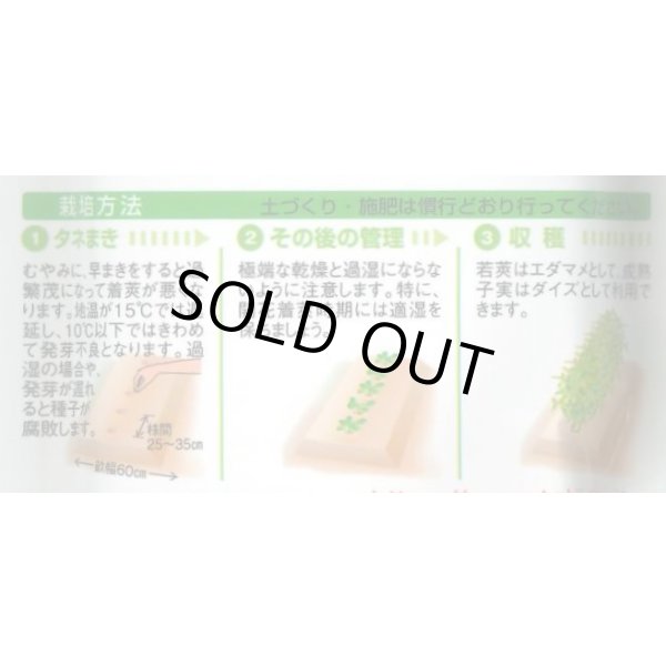 画像3: 送料無料　[枝豆]　鶴の子大豆　60ml(およそ70粒)　タキイ種苗　GF (3)