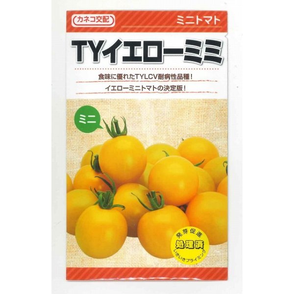 画像1: 送料無料　[トマト/ミニトマト]　TYイエローミミ　100粒　カネコ種苗（株） (1)
