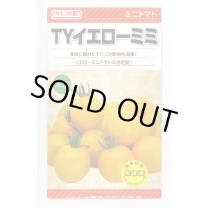 画像: 送料無料　[トマト/ミニトマト]　TYイエローミミ　1000粒　カネコ種苗（株）