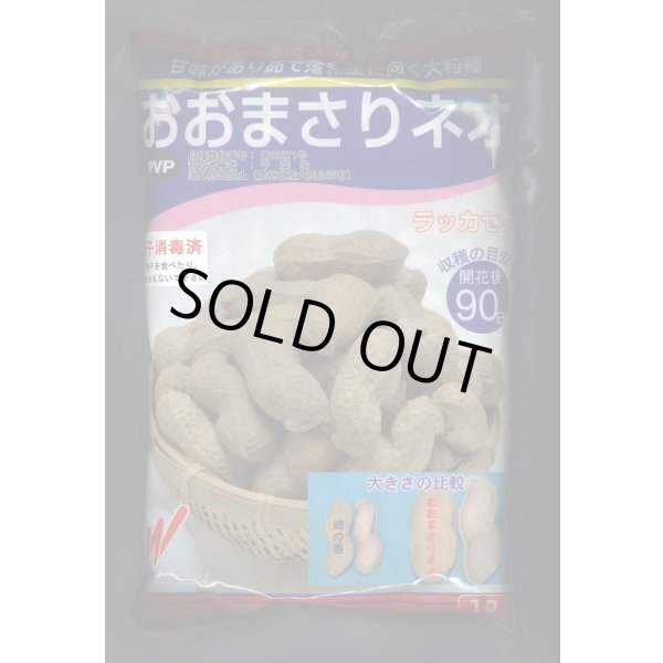 送料無料 [落花生] おおまさりネオ むき実種子 1L 渡辺農事（株