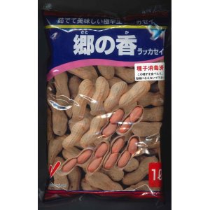 画像: [落花生]　郷の香　1L（約700粒）　渡辺農事