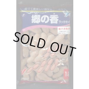 画像: [落花生]　郷の香　1L(約700粒)　渡辺農事（株）