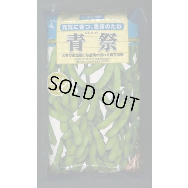 画像1: [枝豆]　青祭　1L(およそ2000粒)雪印種苗(株) (1)