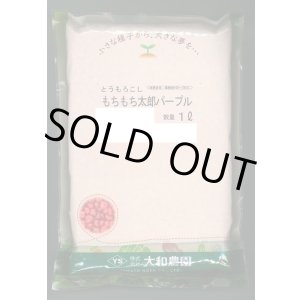 画像: 送料無料　[とうもろこし]　もちもち太郎パープル　1L　（株）大和農園