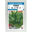 画像1: 中国野菜　エンサイ　13ml　タキイ種苗　MF (1)