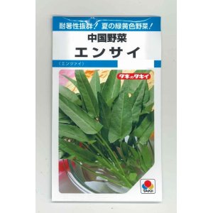 画像: 中国野菜　エンサイ　13ml　タキイ種苗　MF