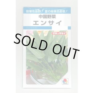 画像: 送料無料　エンサイ　13ml　タキイ種苗　MF