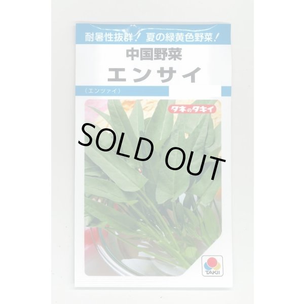 画像1: 送料無料　エンサイ　13ml　タキイ種苗　MF (1)