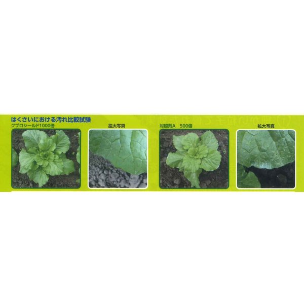 画像3: 農薬　殺菌剤　クプロシールド　500ml　アグロ　カネショウ株式会社 (3)