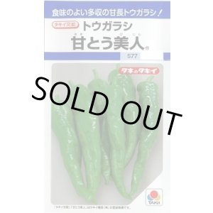 画像: 送料無料　[とうがらし]　甘とう美人　35粒　タキイ種苗(株)　DF