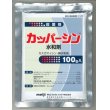 画像1: 農薬　殺菌剤　カッパーシン　水和剤　100g (1)