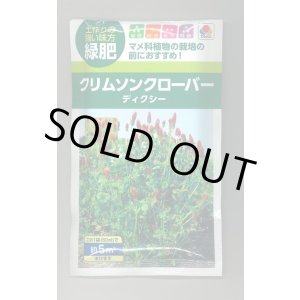 画像: 送料無料　[緑肥]　緑肥用クリムソンクローバー　ディクシー　60ml　タキイ種苗