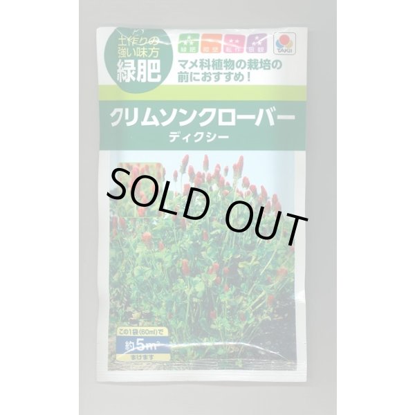 画像1: 送料無料　[緑肥]　緑肥用クリムソンクローバー　ディクシー　60ml　タキイ種苗 (1)