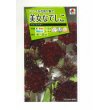 画像1: 花の種　美女なでしこ　ブラックアダー　小袋　タキイ種苗（株）（ＮＬ200） (1)