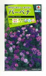 画像: 送料無料　花の種　バーベナ　ロングラン　ミックス　タキイ種苗(株)(ＮL200)