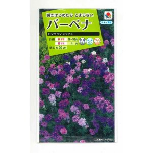 画像: 送料無料　花の種　バーベナ　ロングラン　ミックス　タキイ種苗(株)(ＮL200)