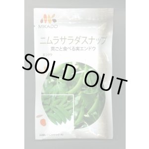 画像: 送料無料　[えんどう]　ニムラサラダスナップ　1dl(およそ240粒)　ヴィルモランみかど