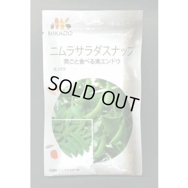 画像1: 送料無料　[えんどう]　ニムラサラダスナップ　1dl(およそ240粒)　ヴィルモランみかど (1)