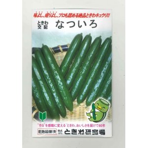 画像: [キュウリ]　送料無料！なついろ　350粒　（株）ときわ研究場