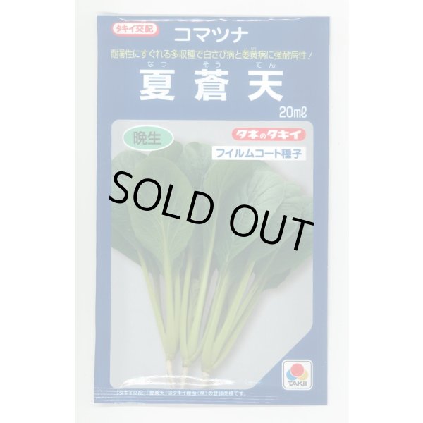 画像1: 送料無料　[小松菜]　夏蒼天　20ml　タキイ種苗(株) (1)