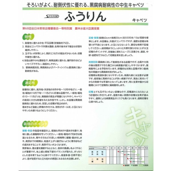 画像3: [キャベツ] ふうりん 2000粒 （株）サカタのタネ (3)