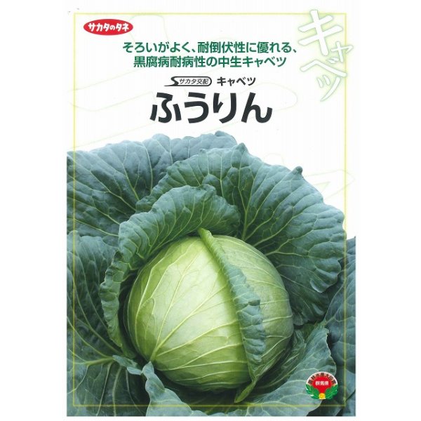 画像2: [キャベツ] ふうりん 2000粒 （株）サカタのタネ (2)