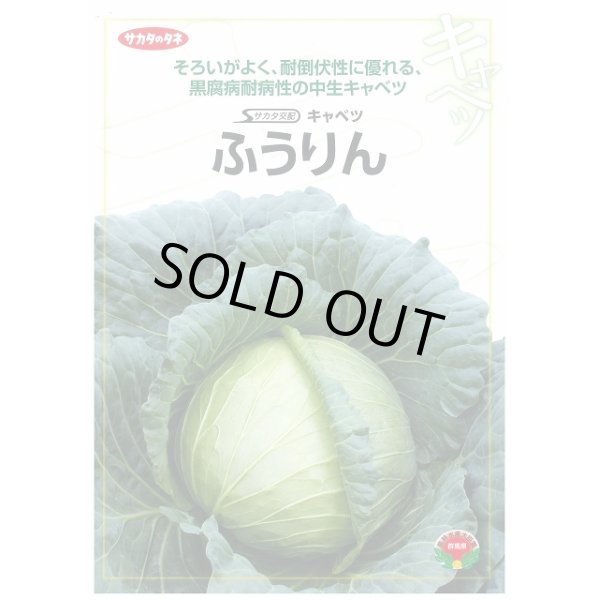 画像2: [キャベツ]　送料無料！　ふうりん　コート5000粒　　サカタ交配 (2)