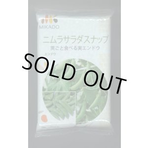 画像: [えんどう]　ニムラサラダスナップ　1L(およそ2400粒)　ヴィルモランみかど