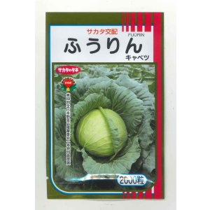 画像: 送料無料　[キャベツ]　ふうりん　2000粒　（株）サカタのタネ