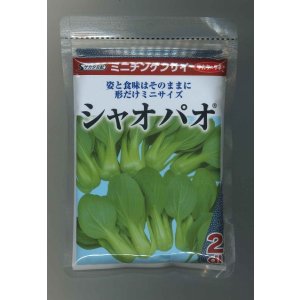 画像: 送料無料　[中国野菜]　シャオパオ(ミニチンゲンサイ)　2dl　(株)サカタのタネ