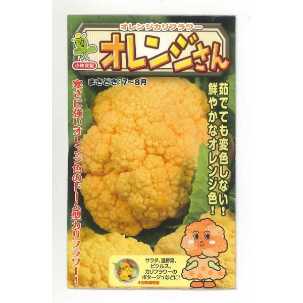 画像1: [カリフラワー] オレンジさん 15粒 小林種苗（株） (1)