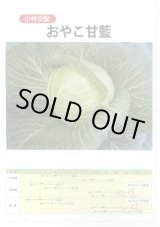 画像: 送料無料　[キャベツ]　キャベツ　おやこ甘藍　1ml(約220粒)　小林種苗(株)