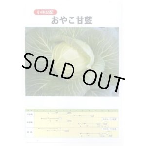 画像: 送料無料　[キャベツ]　キャベツ　おやこ甘藍　1ml(約220粒)　小林種苗(株)