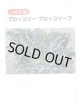 画像: 送料無料　[ブロッコリー]　ブロッコリーフ　45粒　小林種苗（株）