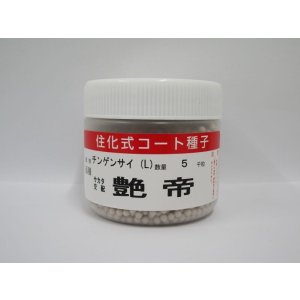 画像: [中国野菜]　チンゲンサイ　艶帝　ペレット5000粒　(株)サカタのタネ