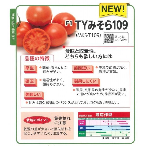 画像3: 送料無料　[トマト]　大玉トマト　TYみそら109　1000粒　ヴィルモランみかど（株） (3)
