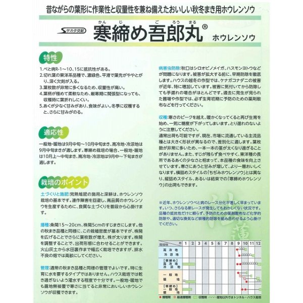 画像3: [ほうれんそう] 寒締め吾郎丸 種子サイズM 3万粒 （株）サカタのタネ (3)