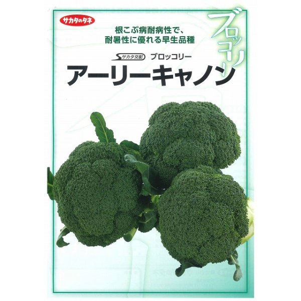 画像2: 送料無料　[ブロッコリー]　アーリーキャノン　ペレット5千粒　(株)サカタのタネ (2)