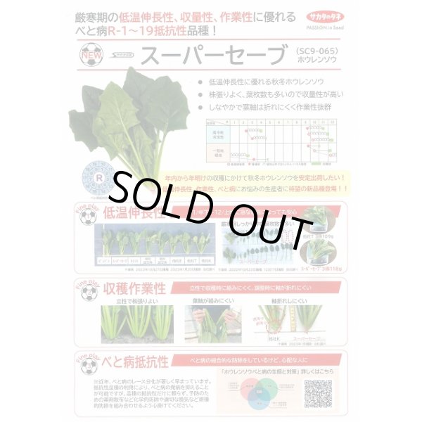 画像2: [ほうれんそう]　　スーパーセーブ　種子サイズM　3万粒　サカタ交配 (2)