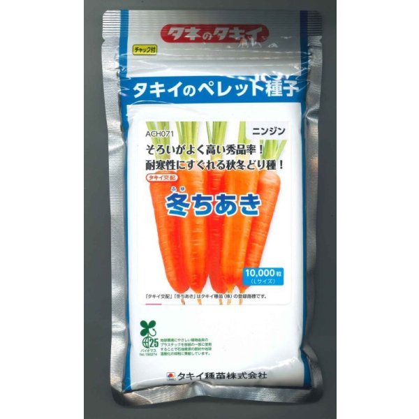 画像1: [人参] 冬ちあき ペレット1万粒 タキイ種苗(株) (1)