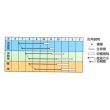 画像3: [人参]　冬ちあき　ペレット１万粒　タキイ種苗（株） (3)