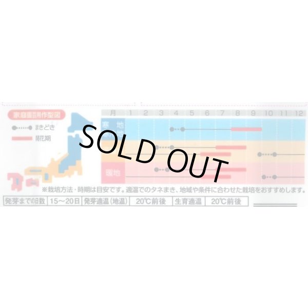 画像3: 送料無料　花の種　トルコギキョウ　マキアミックス　30粒　(株)サカタのタネ　実咲350（028147） (3)