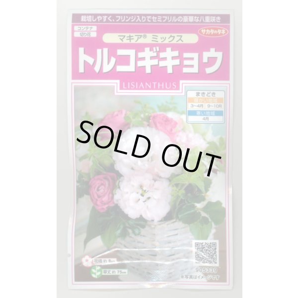 画像1: 送料無料　花の種　トルコギキョウ　マキアミックス　30粒　(株)サカタのタネ　実咲350（028147） (1)
